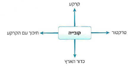 (בספר איור, היעזר במנחה) 
